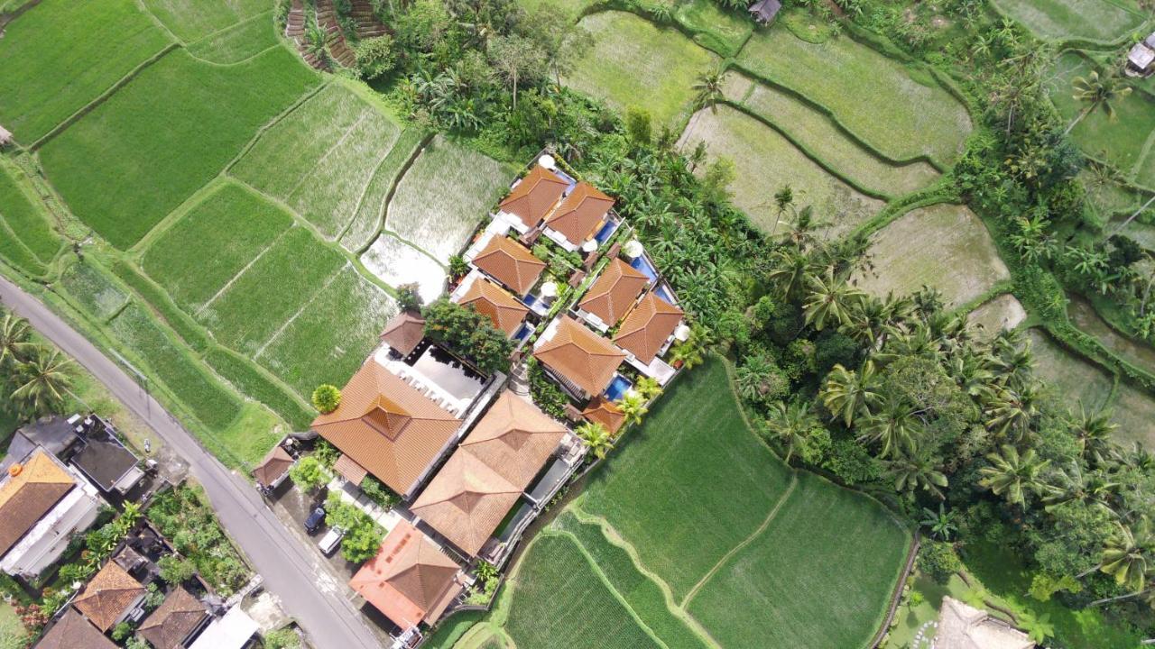Danakha Villa Ubud Тегалаланг Екстериор снимка